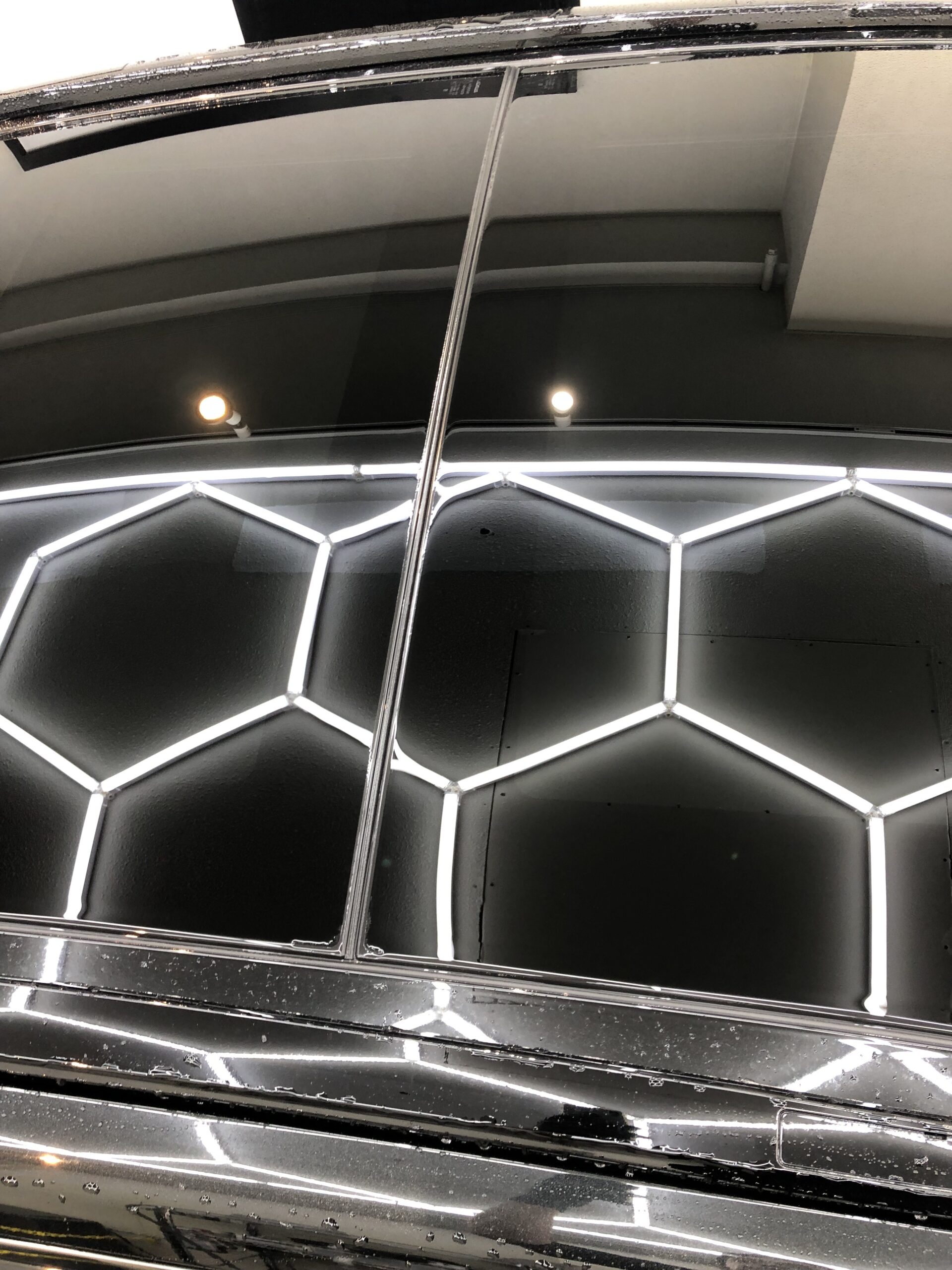 レクサス RX 500h ムーンルーフ