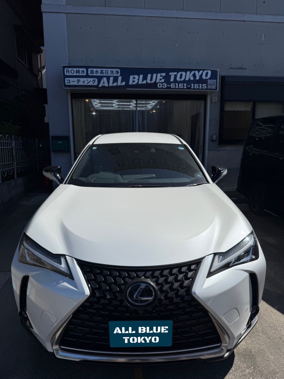 レクサスUX250h 花粉付着 入庫時全体（Before）