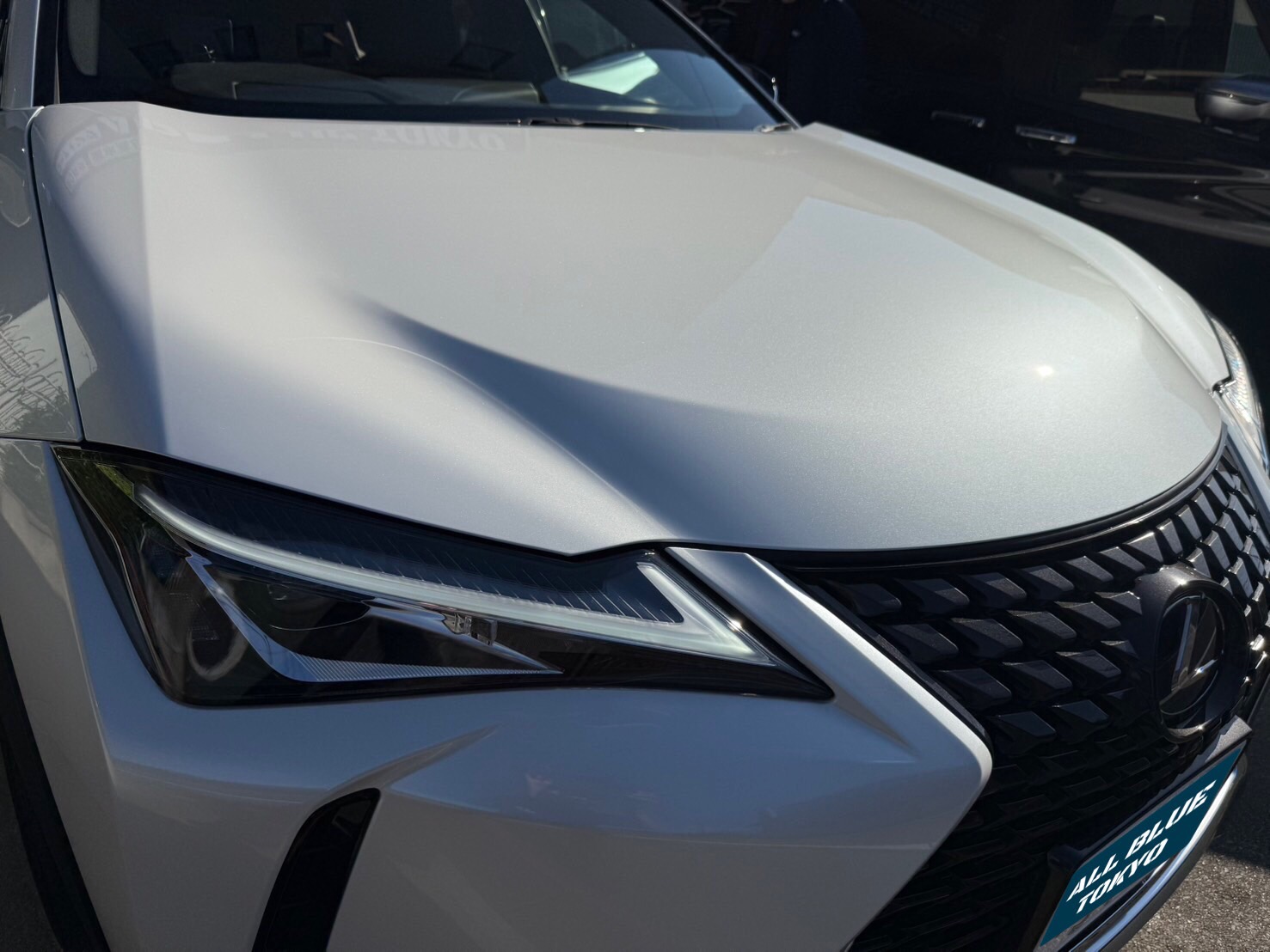 レクサスUX250h 洗車後 右前グリル（After）