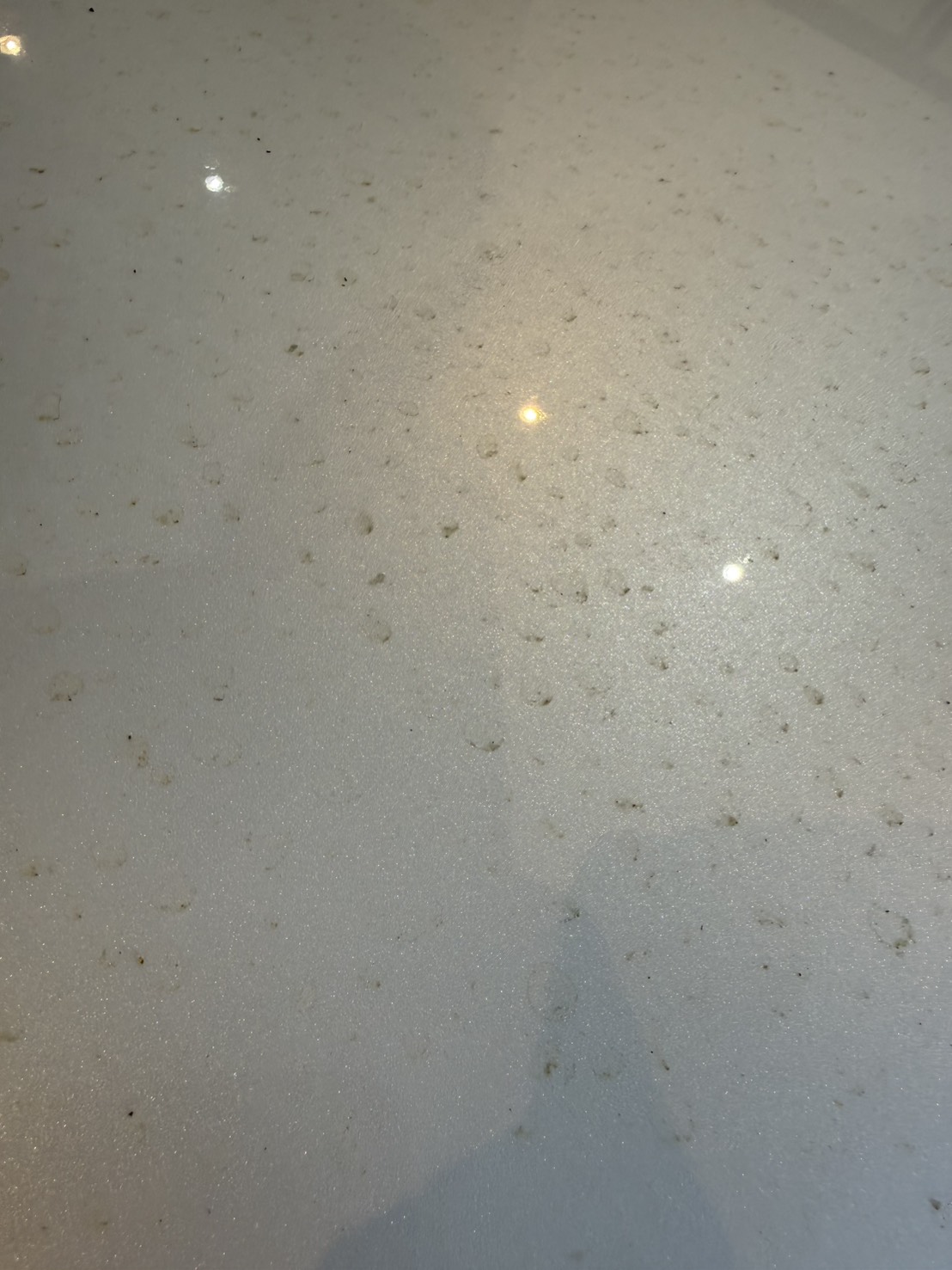 レクサスUX250h ボンネット花粉アップ（Before）