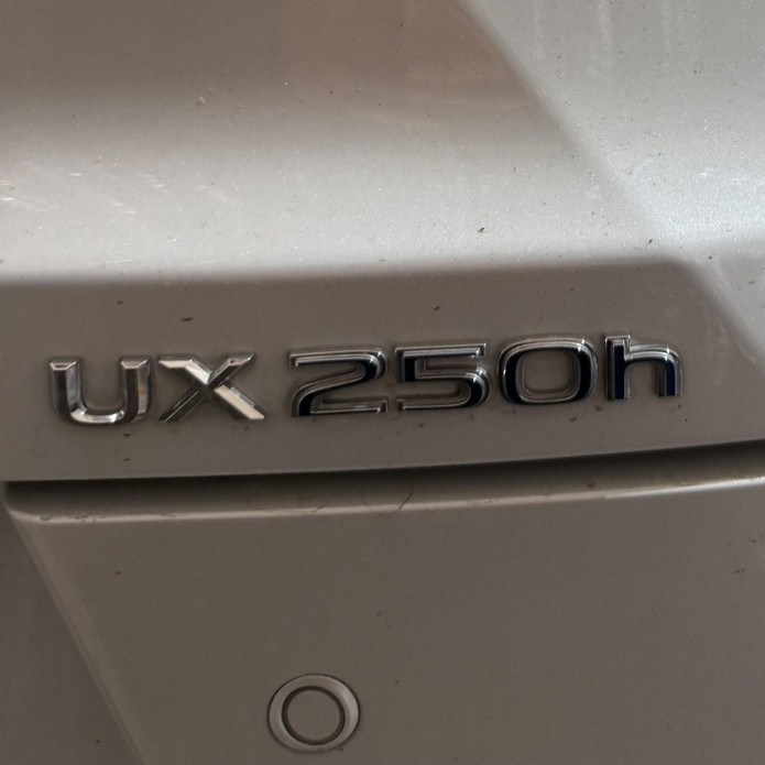 UX250hエンブレム 汚れ（Before）