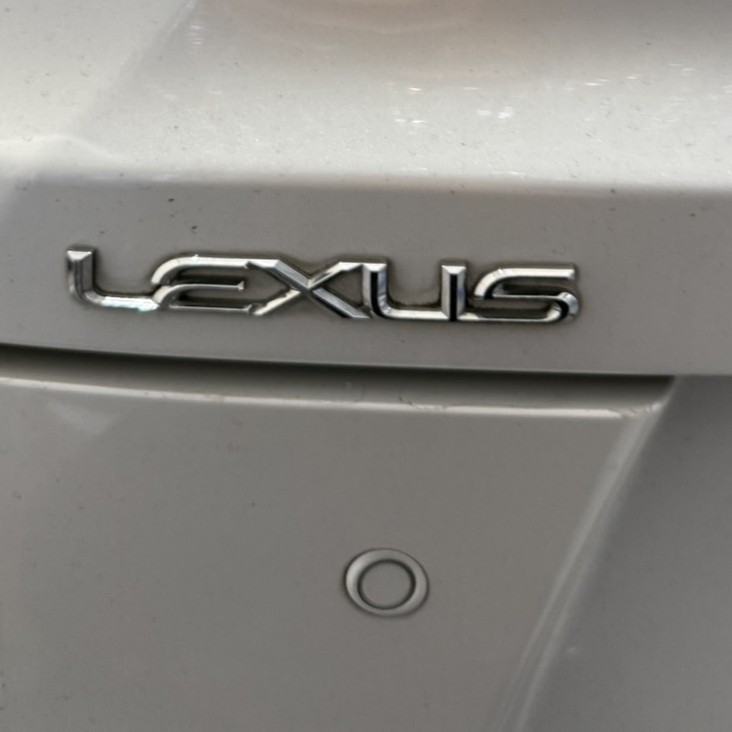 LEXUSエンブレム 汚れ（Before）