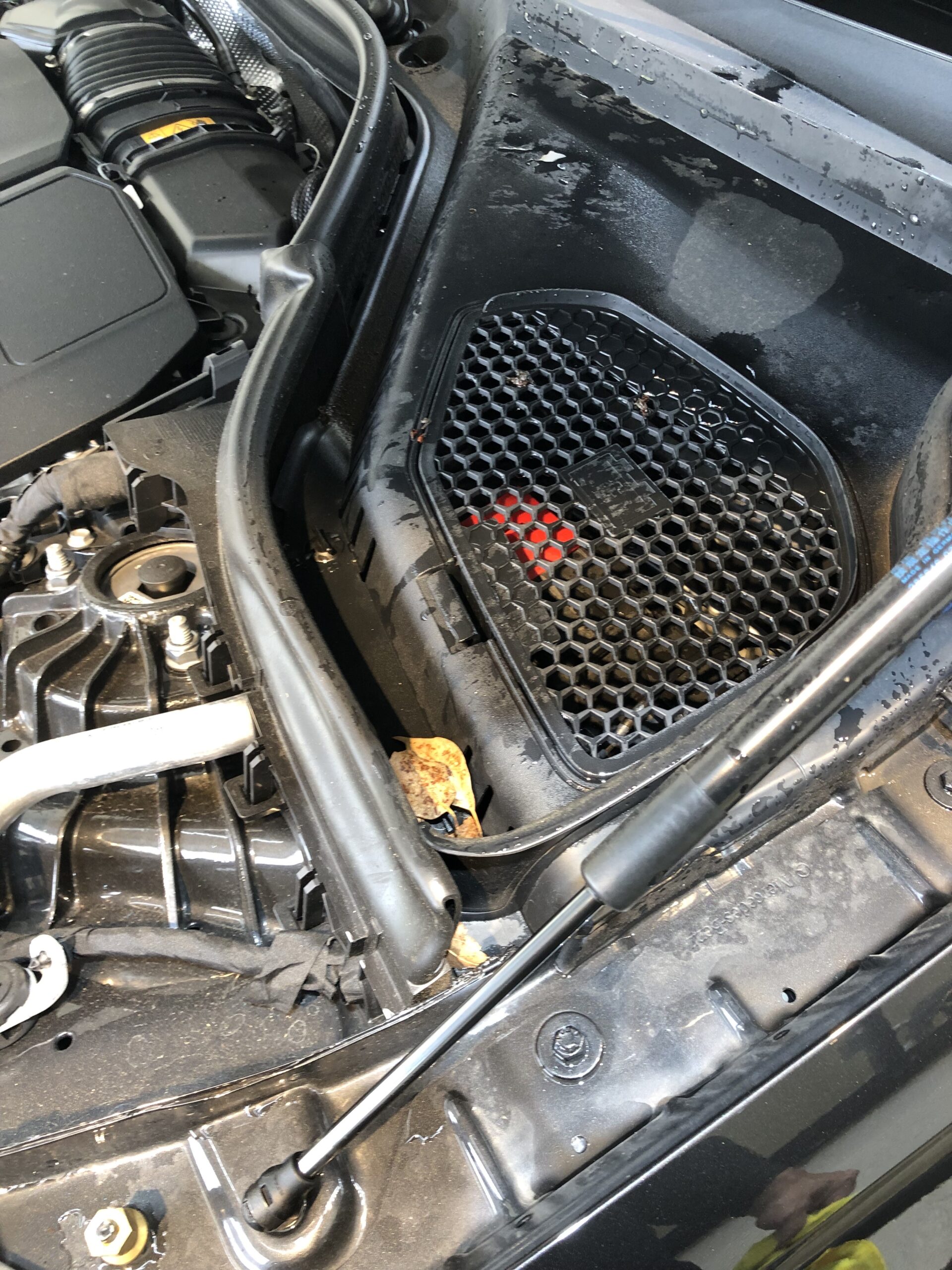 メルセデス・ベンツ GLC220d カウルトップの枯れ葉